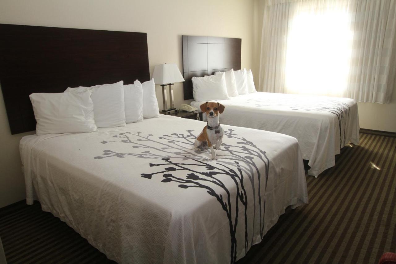 Bowman Inn And Suites Luaran gambar